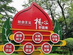 -八大关景区