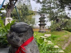 -龙华素斋(龙华路店)