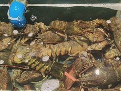 -龙宴海鲜城(经中路店)