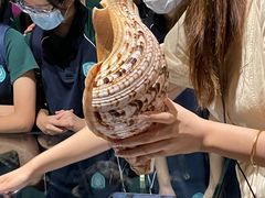 -青岛贝壳博物馆