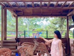 -南戴河国际娱乐中心