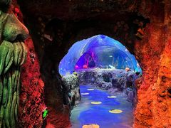 -沈阳海洋探索中心