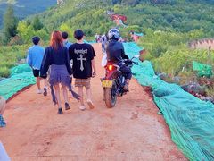 -长虫山生态公园风景林