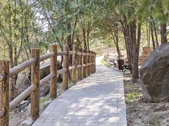 -白水寺森林公园