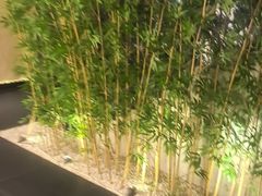 -新紫霞养生·影院足道·SPA(金山区店)