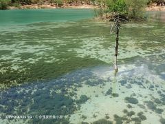 -玉龙雪山蓝月谷