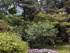 -庐山风景区花径公园