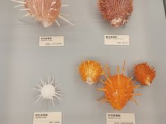 -天津古林古海岸遗迹博物馆
