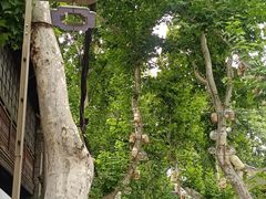 -永安鱼庄·镇江菜(东吴路店)