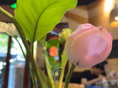 -滇道云南特色料理(康定路店)