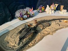 -上海中国航海博物馆