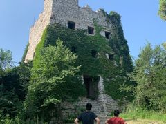 -原山国家森林公园