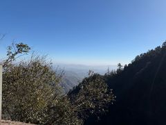 -天目山大树王景区