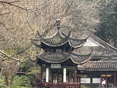 -苏州香格里拉大酒店