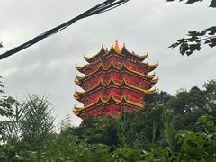 -黄鹤楼公园(黄鹤楼)