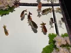 -三越百货(三越银座店)