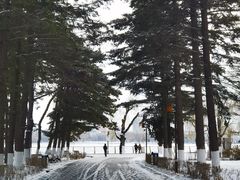 -长春市南湖公园