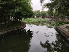 -北陵公园