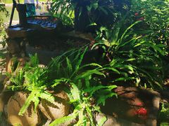 -呀诺达热带雨林