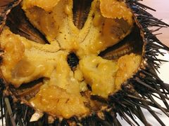 -海胆小馆(东北水饺·春柳店)