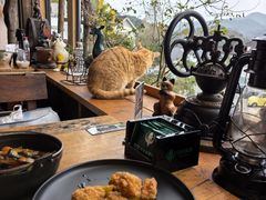 -马灯部落·西湖边的创意山景餐厅(虎跑动物园店)