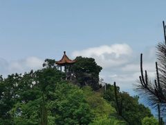 -塔云山