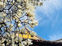 -龙华寺