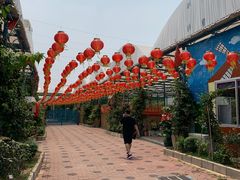 -麻涌飞鸭开心农场