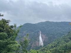 -广州市石门国家森林公园