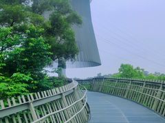 -福道