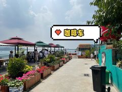 -望湖烤鱼
