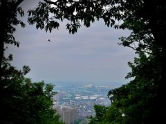 -惠山国家森林公园