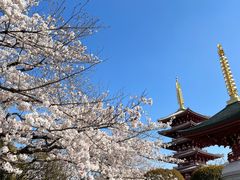 -浅草寺