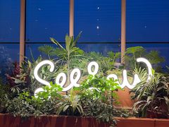 -Seesaw Coffee(朝阳大悦城店)