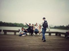 -白鹭湾湿地公园