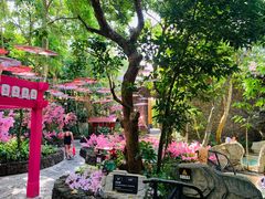 -海口观澜湖火山温泉谷