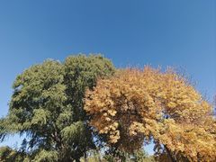 -北京奥林匹克公园