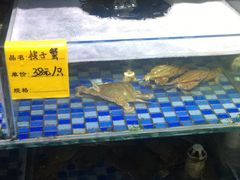 -睿柏云酒店-餐厅