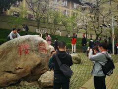 -武汉大学-樱园