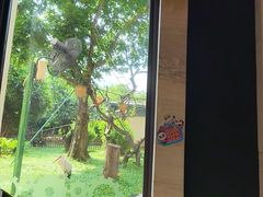 -熊猫自助餐厅.萌趣城堡(长隆熊猫酒店)