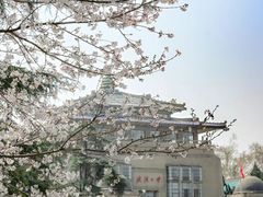 -武汉大学-樱园