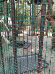 -萌宠亲子动物乐园(槐房万达店)