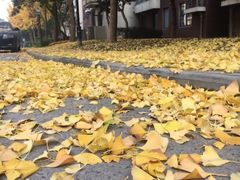 -85度C(无锡梦享城店)