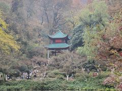 -岳麓山风景名胜区