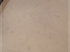 -milkplus·泰式奶茶(较场东路店)