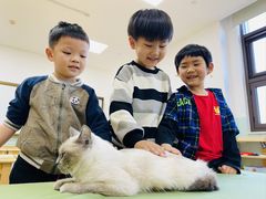 -蓝莓果幼儿园(通州梨园店)