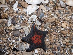 -千日贺茶餐厅(高新万达店)