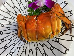金陵花雕醉熟蟹-馨方园食府·市井老南京菜