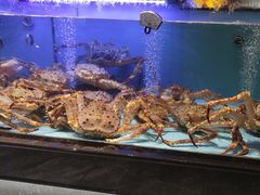 -阿伟海鲜楼·福建菜(延寿店)