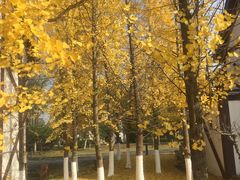 -太阳岛度假酒店